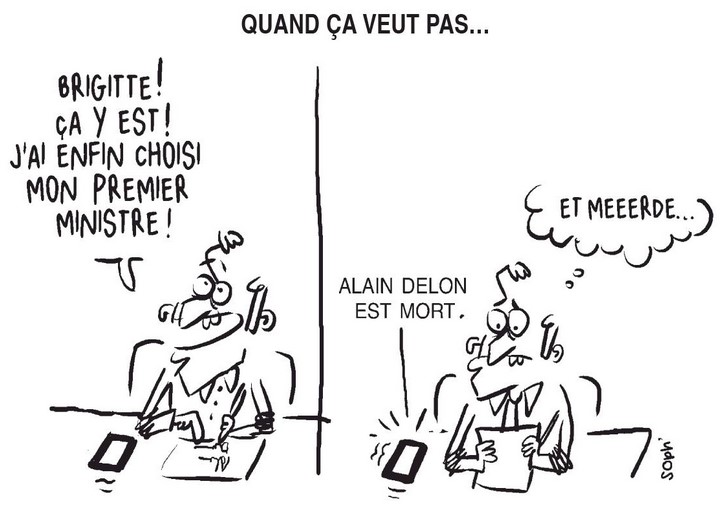 text alternatif
