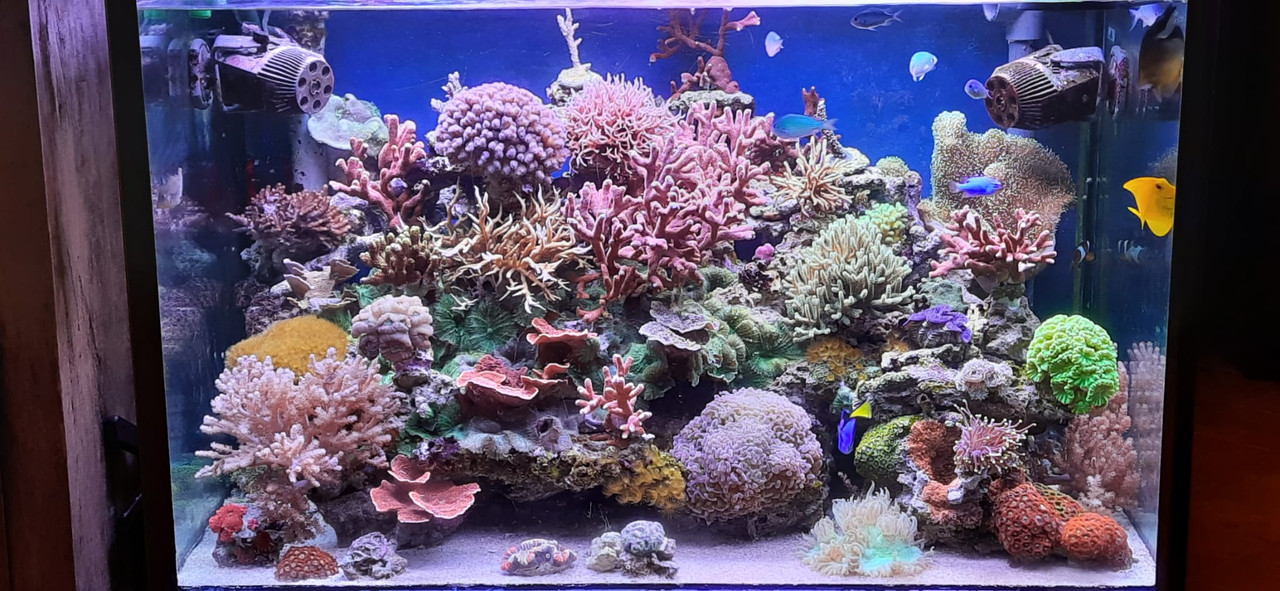 WhatsApp Image 2022-01-13 at 19.00.18 (1)