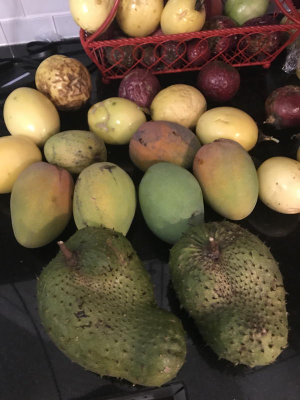 FruitGroupPic62019