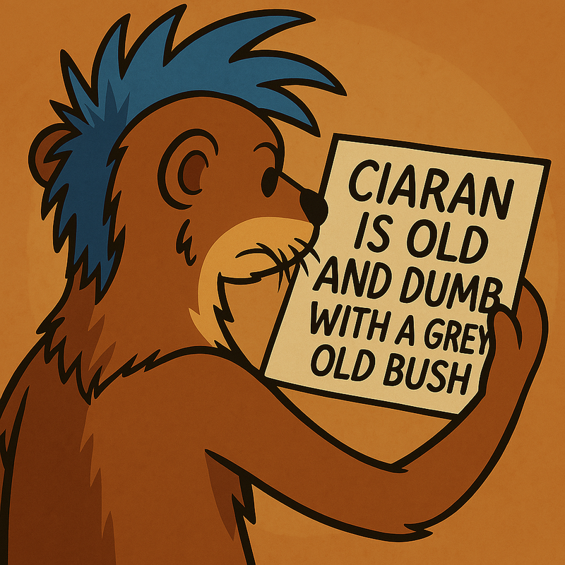 Copilot-20250723-132601.png