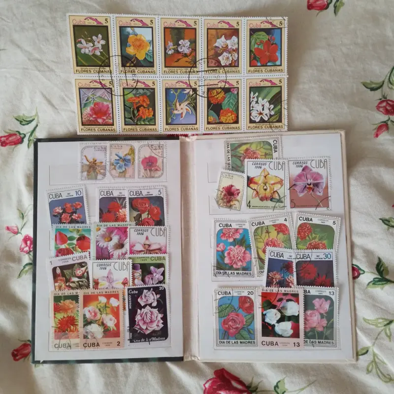 image (12)
