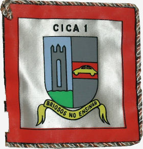 CICA1