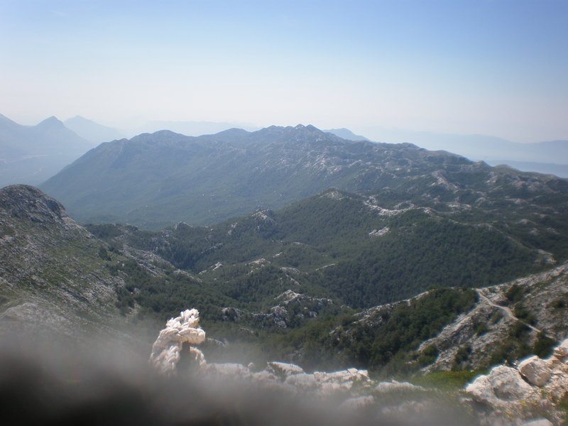 Picturevela luka 403