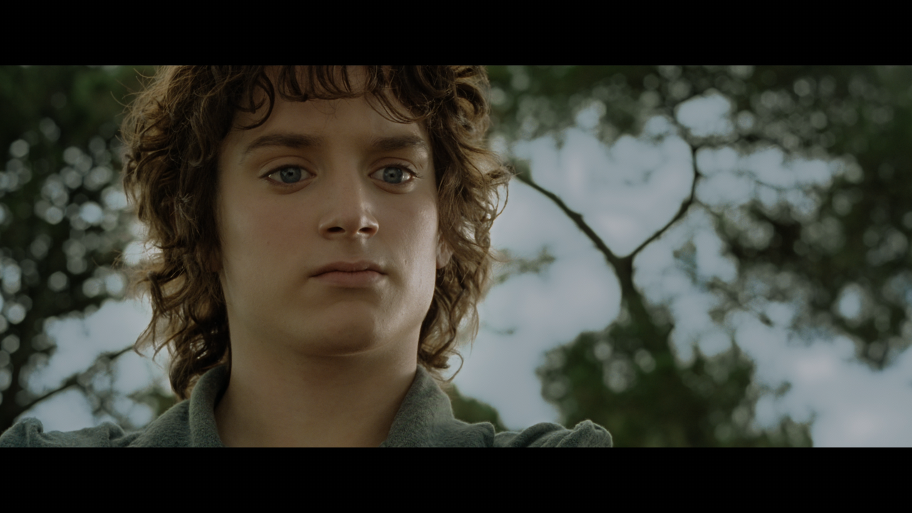 The Lord of the Rings- The Fellowship of the Ring (EXT.) PT. 1.mkv_snapshot_00.11.19_[2020.12.05_21.