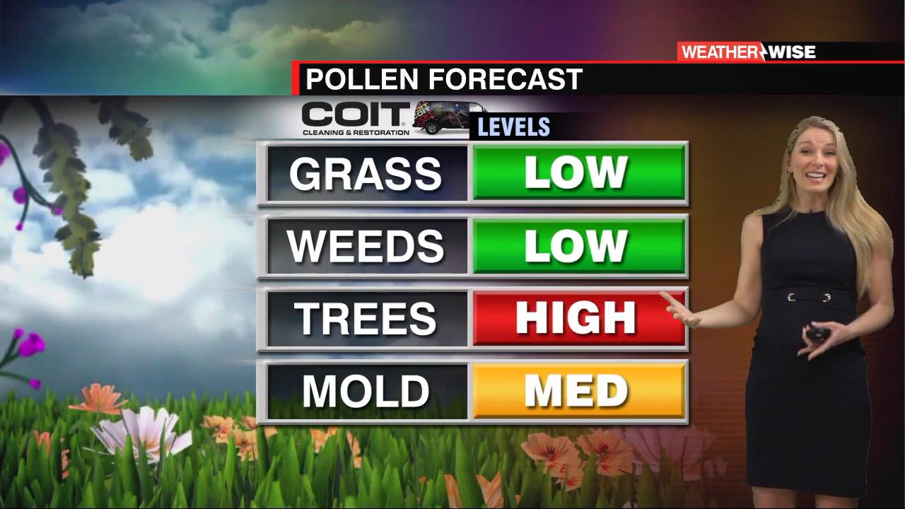 04.01 - 03.00.00 - WCCB News at 10 00 p.m..ts_snapshot_21.07_[2021.04.01_11.33.12]