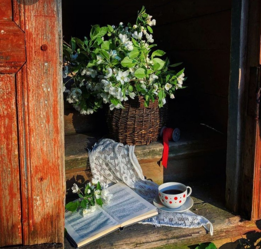 Screenshot_20230712_005300_Pinterest