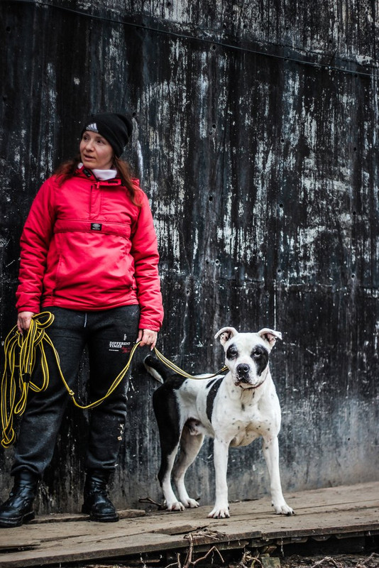 без имени-0260