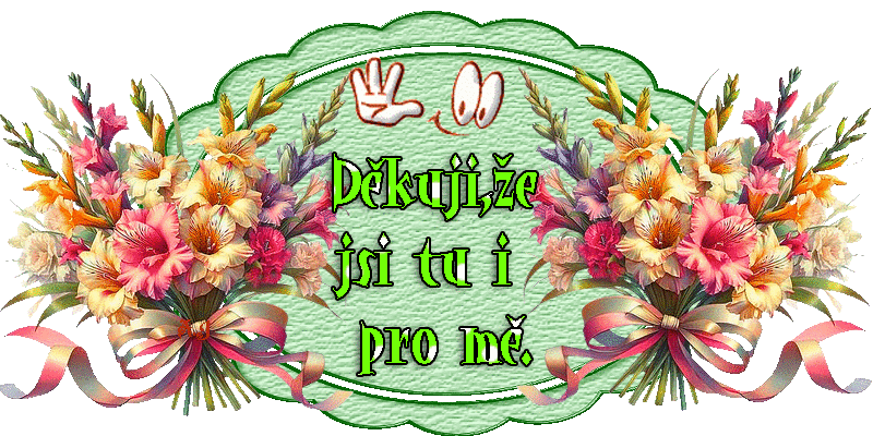 oie-oie-overlay-(2)