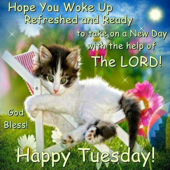 TUESDAY-mardi-12