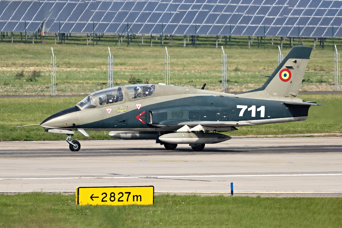 IAR 99 Solo Display