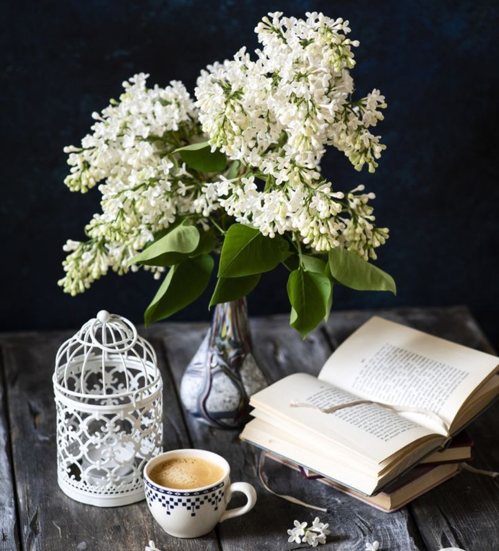 Screenshot_20230124_002724_Chrome