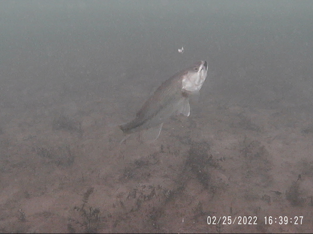 2022_0225_163928_001