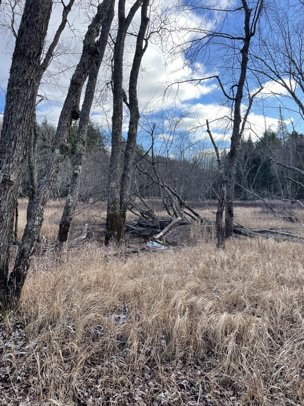 3D79CE57-3E7F-408F-A193-2FB472BDC890