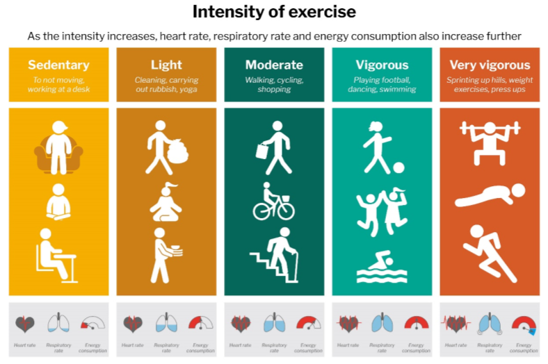 Different exercise intensities