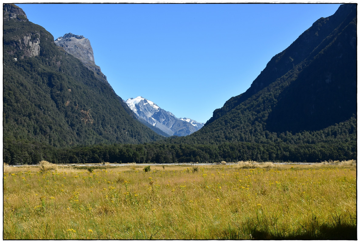 Mt Aspiring NP: Rees-Dart Track y Cascade Saddle (febrero 2023) - Escapadas y rutas por la Nueva Zelanda menos conocida (66)