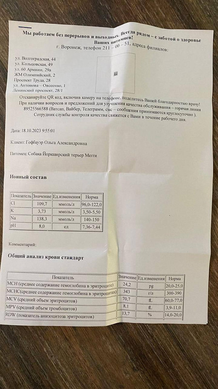 Общий анализ крови