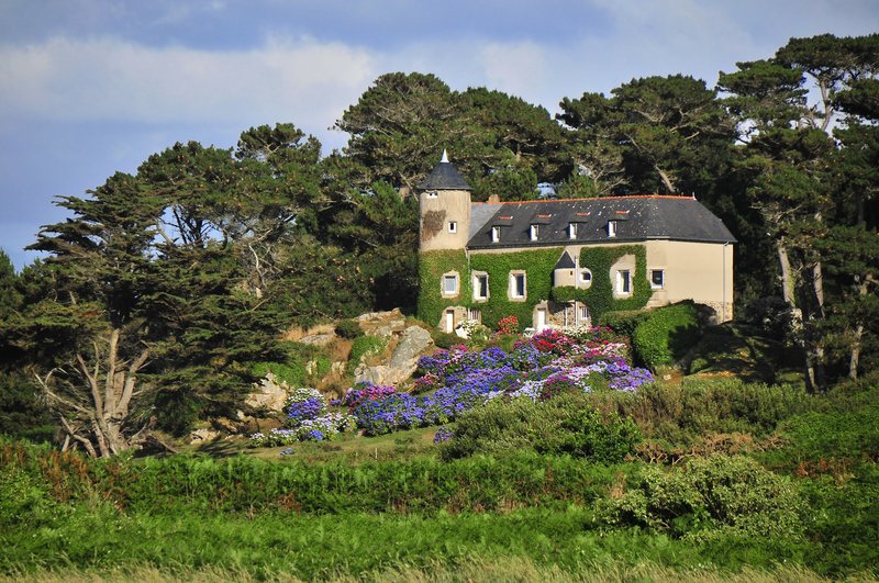 https://i.postimg.cc/KvdDHKzH/006-panoramio-113956789.jpg