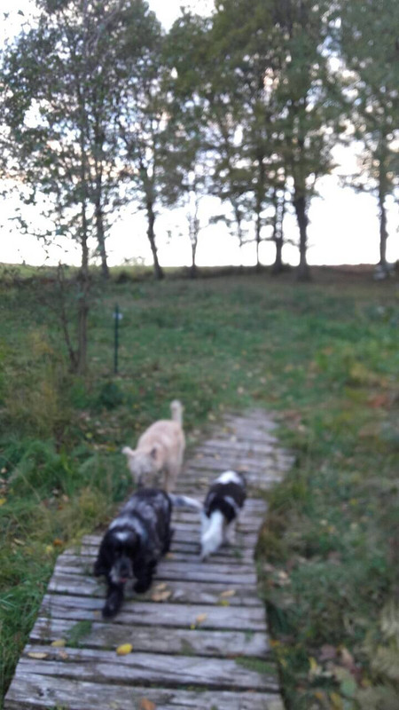 996F9451-184D-4CAF-AC2D-26DF5495DABB