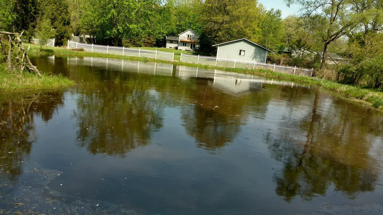 received_10216710480933248