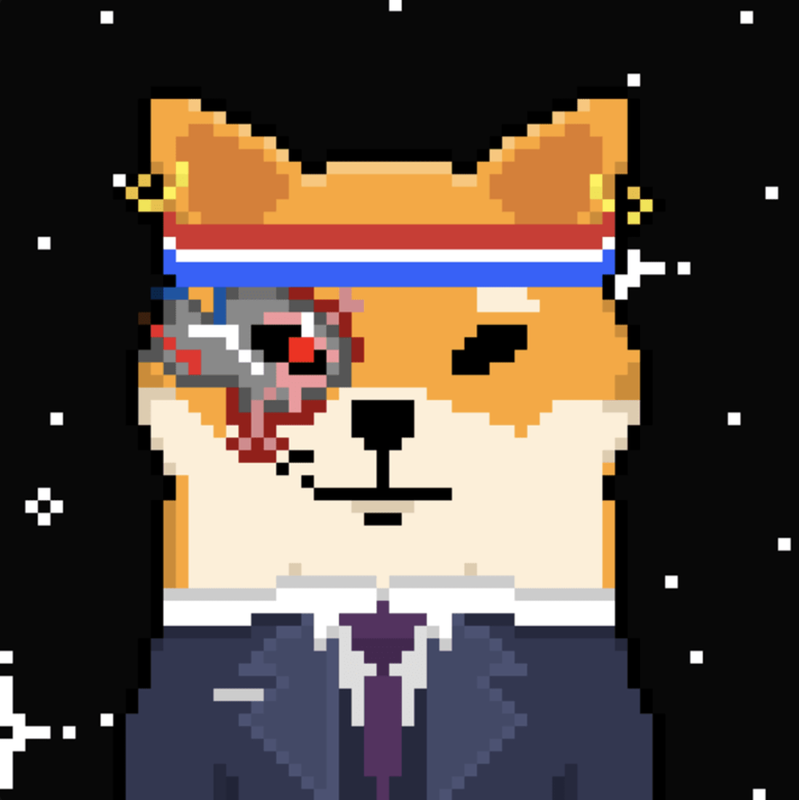 theshiboshis.eth Ethereum Name Service (ENS and .eth domain) PFP