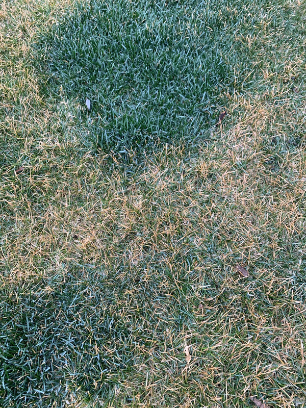 638B5D97-E291-4456-9299-B40744793D74