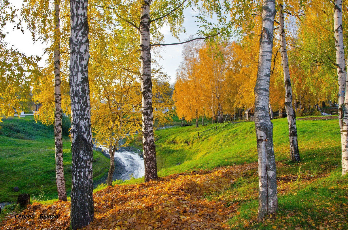 бер1а