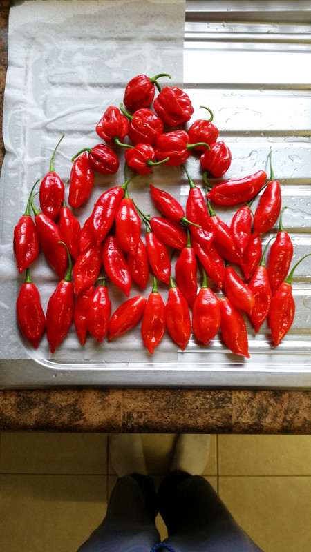 20191003-171448.jpg