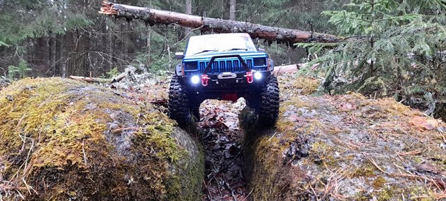 178666130_482990226359967_6828641848240441785_n