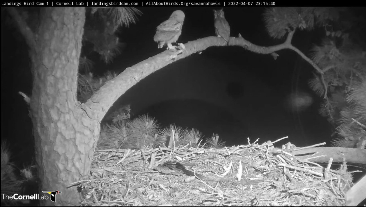 WhatsApp Image 2022-04-08 at 9.49.59 PM (1)