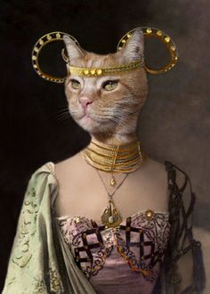 da9568cf01c1a2b98ef97f2762c11a17-egyptian-cats-warrior-cats.jpg