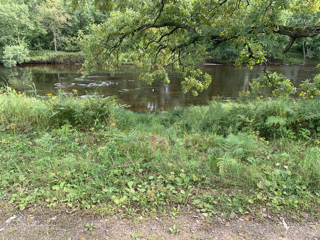 D67761-E0-BE50-4-FE3-A9-E5-EA0-E1-D85727-F.jpg