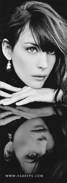 ���� ���� ������ �� ���� ������