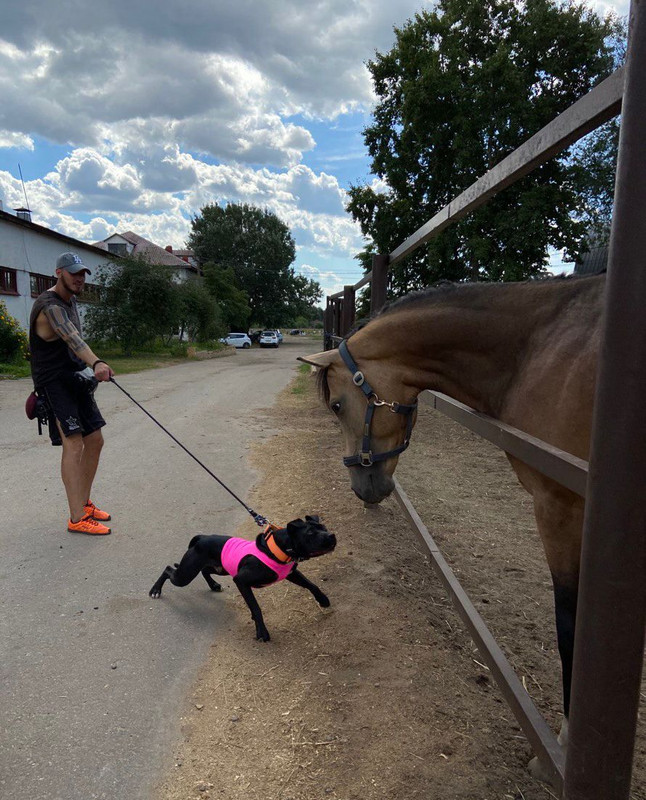 6E3153D0-1DE0-4FAD-AA11-CFE71BEB5483