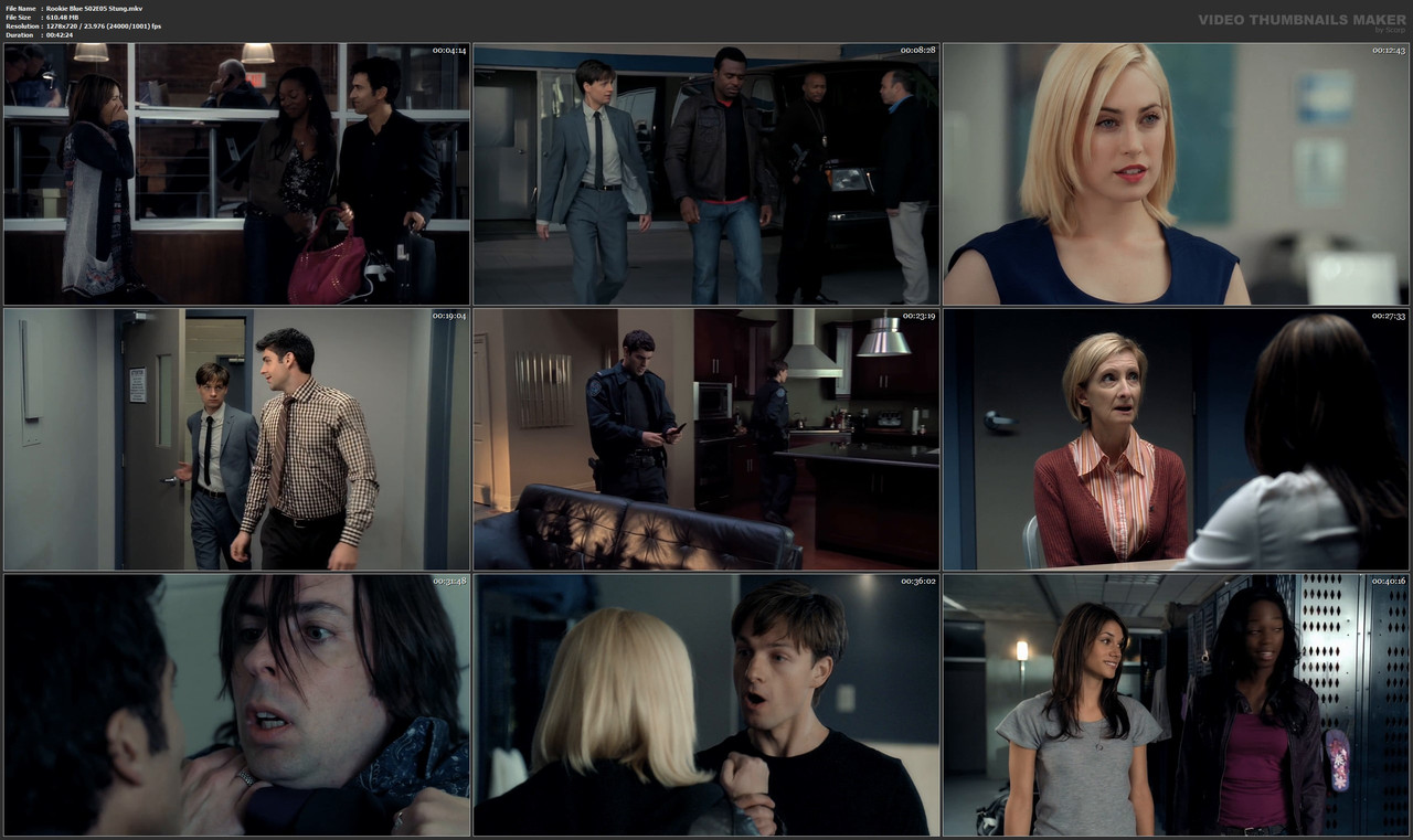 Rookie Blue S02E05 Stung.mkv