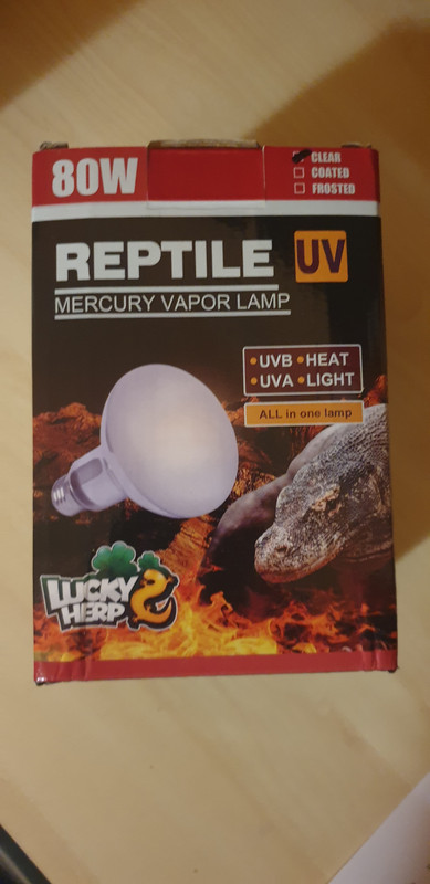 16687106461544107024544749985669