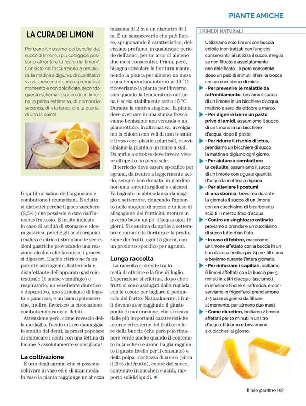 Il Mio Giar Dic 2022-Gen 2023 (8)