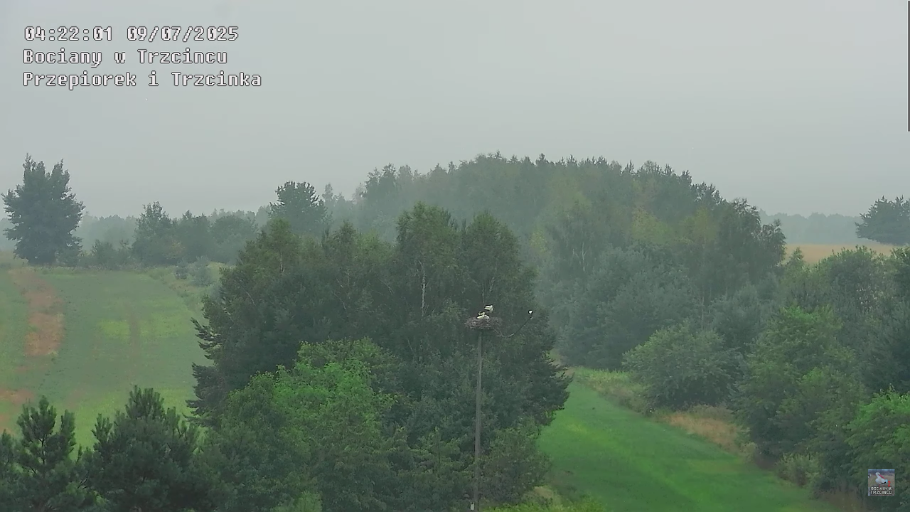 09072025bociany13