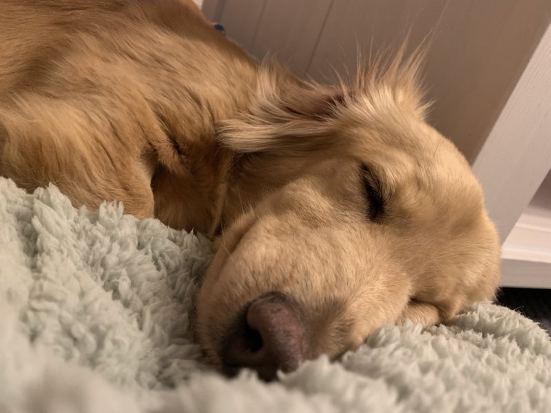 [Image: IMG-7838.jpg]