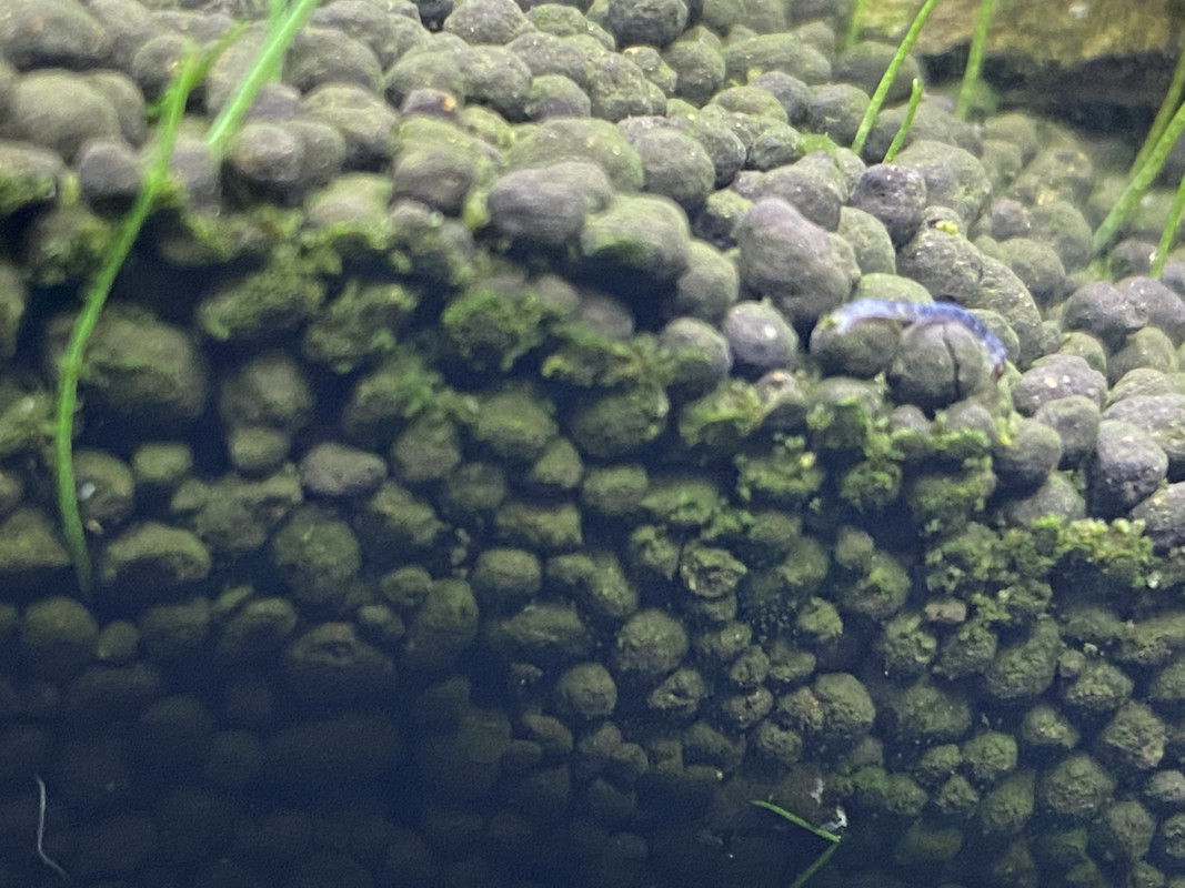 3C32D6C0-920C-4D1F-99A8-E1914EEFAEDB