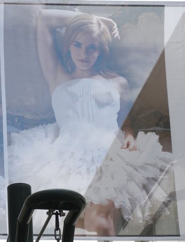 emmawatson-photogallery.blogspot.com (19)