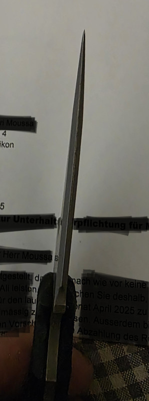 20250421-121134.jpg