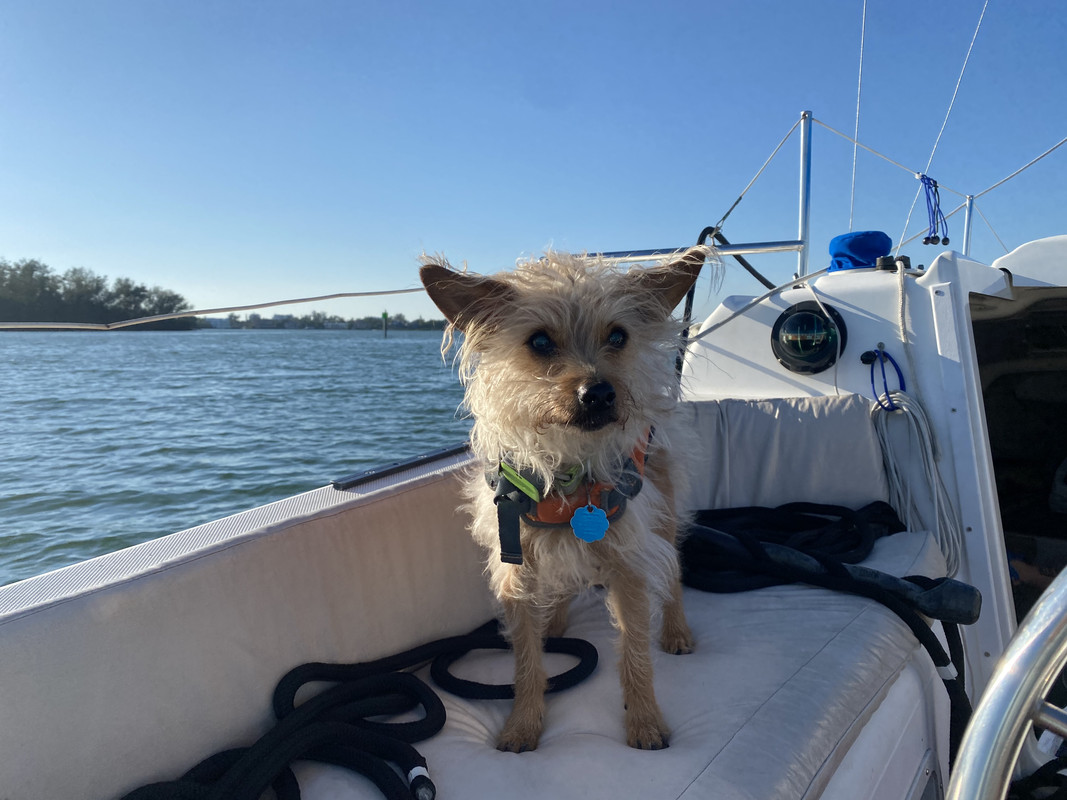 9B32D248-5CA4-4F38-B578-2505484208CB