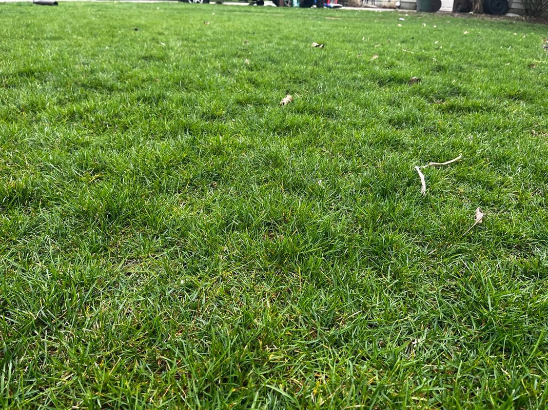 278363194_1014773559475882_8849401126021352221_n