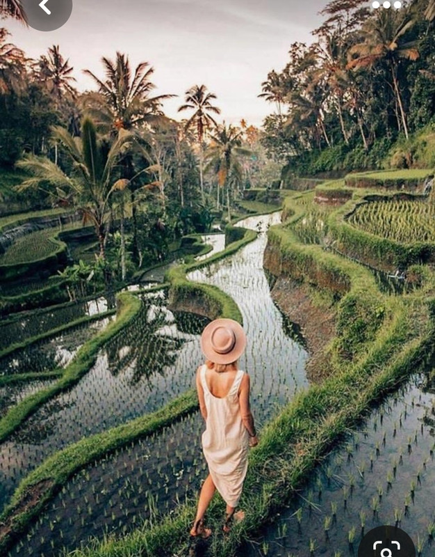 Screenshot_20230515_190116_Pinterest