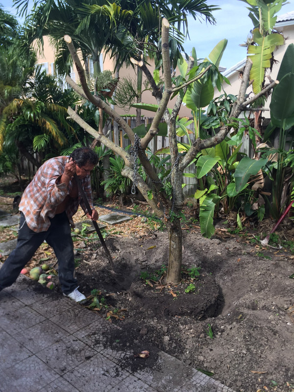 A50C4504-8490-4053-B49B-0C48219AC8E4