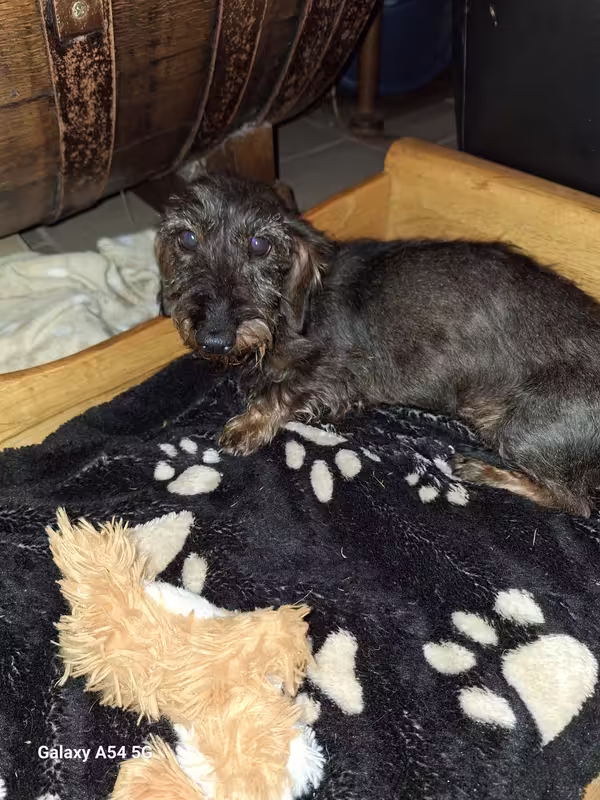 [Image: 20241025-104654.avif]