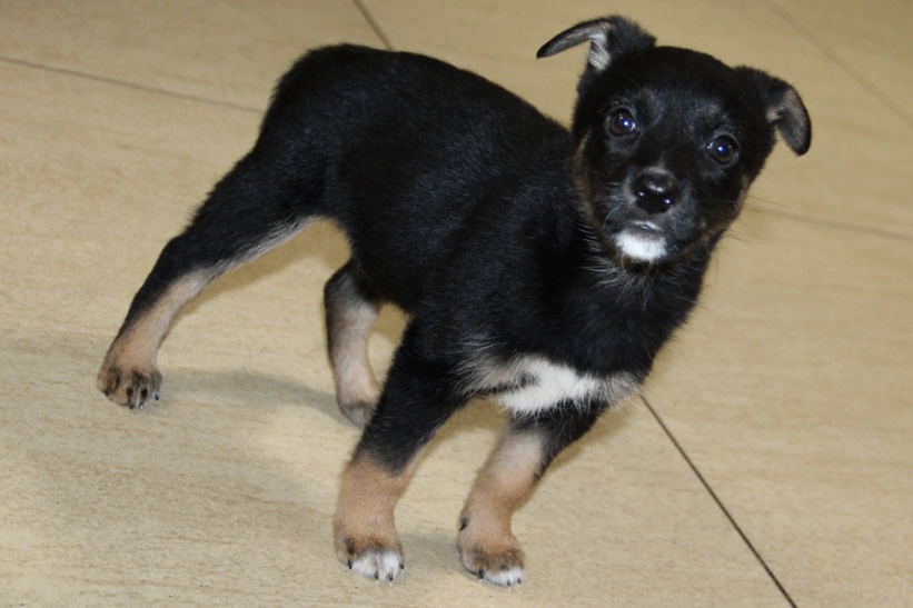 15B2A03F-1A45-449B-AA8C-11ED0F2783F7