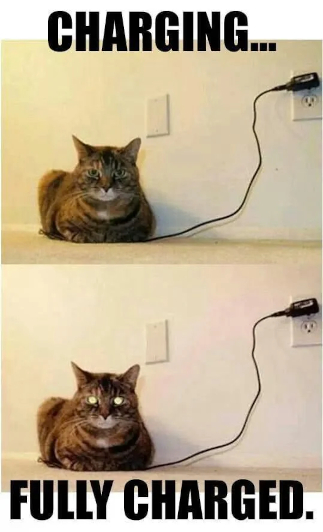fully-charged-cat.jpg