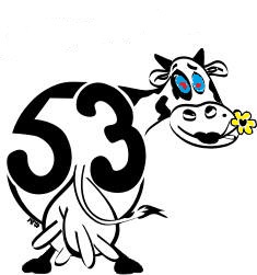 Vache 53