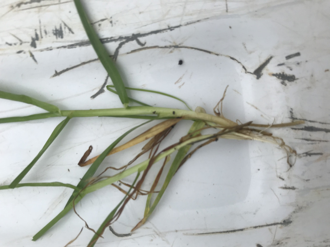 7C16C184-15CC-4206-A455-C912CCDE05A2